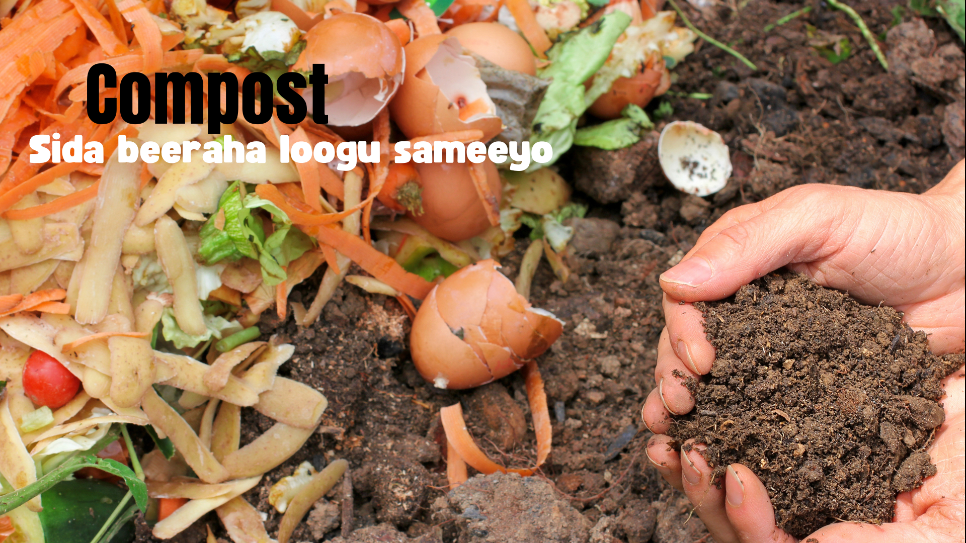 COMPOST-Sida beeraha loogu sameeyo